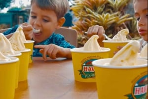 Oahu: Grand Circle Island Tour with Haleiwa