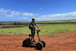 Oahu, Haleiwa: Da Mongoose EzRaider 1.5 hour ATV Adventure