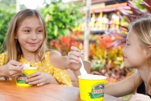 Oahu: Dole Plantation & Haleiwa Express Deluxe Tour