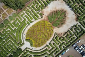 Oahu: Dole Plantation & Haleiwa Express Deluxe Tour