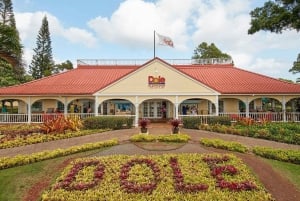 Oahu: Dole Plantation & Haleiwa Express Deluxe Tour