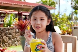 Oahu: Dole Plantation & Haleiwa Express Deluxe Tour
