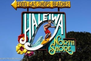 Oahu: Dole Plantation & Haleiwa Express Deluxe Tour