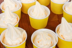Oahu: Dole Plantation & Haleiwa Express Deluxe Tour