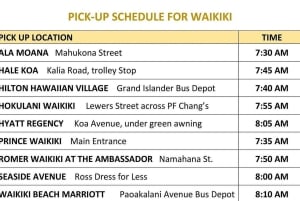 Oahu: Dole Plantation & Haleiwa Express Deluxe Tour
