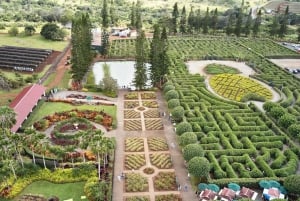 Oahu: Dole Plantation & Haleiwa Express Deluxe Tour