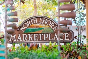 Oahu: Dole Plantation & Haleiwa Express Deluxe Tour
