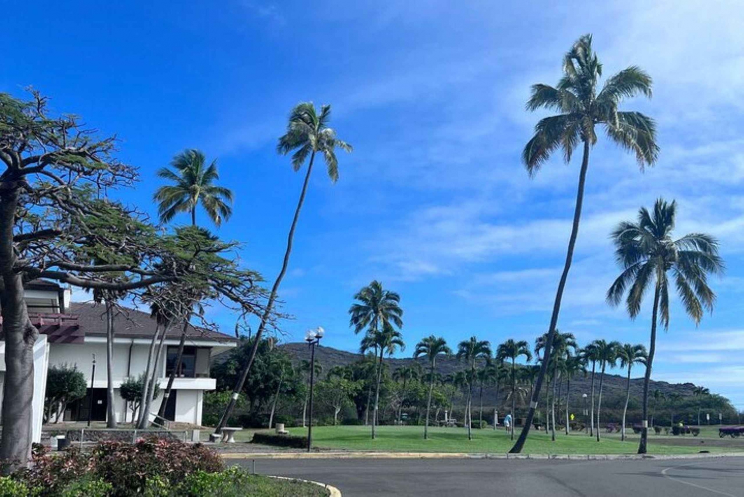 Oahu: Eilandtour met halve cirkel en lokale gids