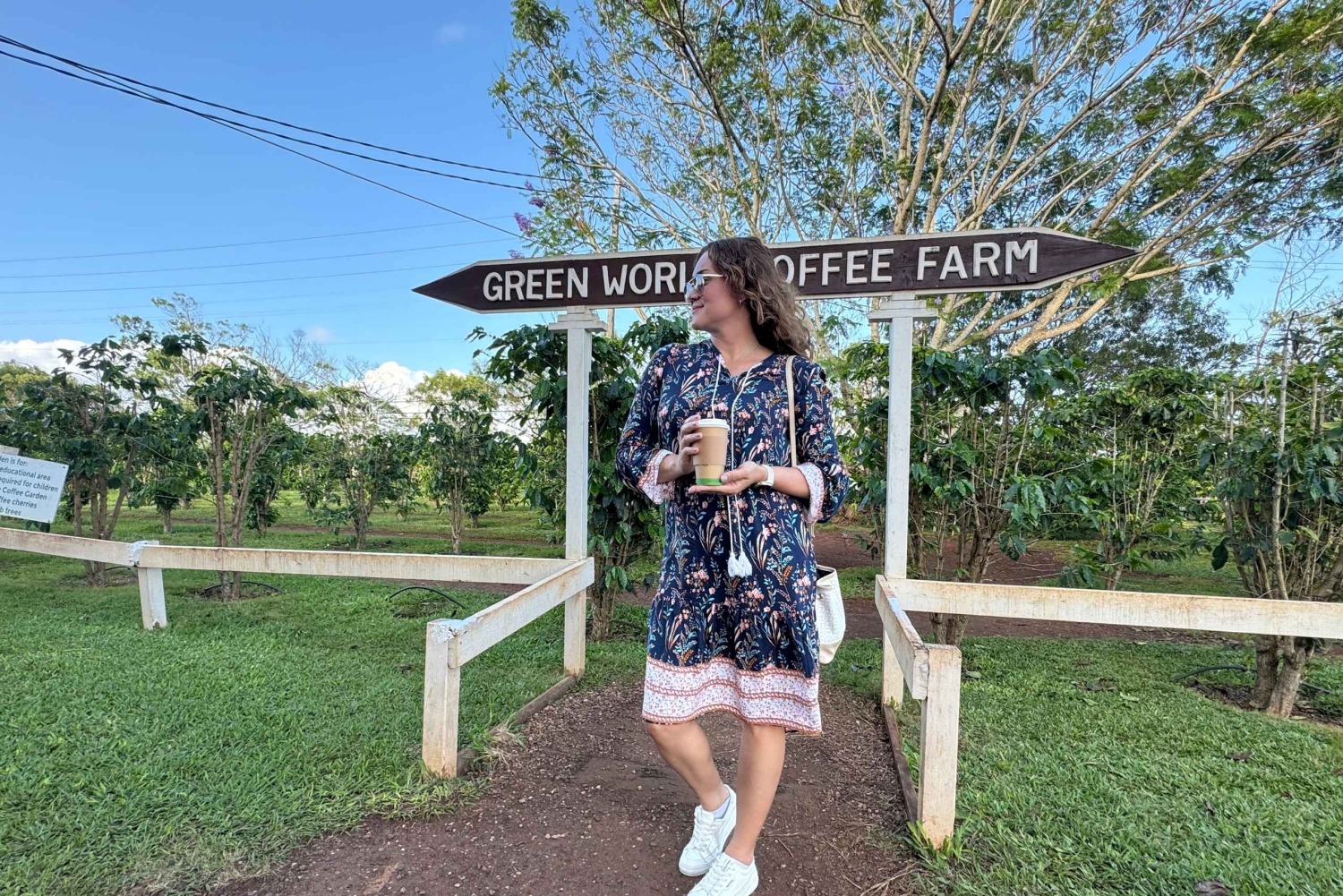 Oahu: Halbtägige Tour entlang der malerischen Nordküste