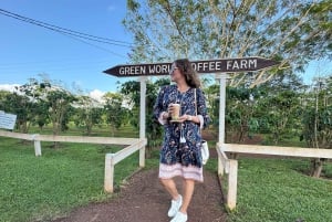 Oahu: Halbtägige Tour entlang der malerischen Nordküste