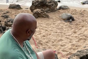 Oahu: Halbtägige Tour entlang der malerischen Nordküste