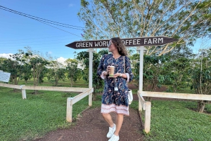 Oahu: Halbtägige Tour entlang der malerischen Nordküste