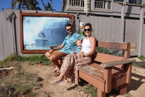 Oahu: Halbtägige Tour entlang der malerischen Nordküste