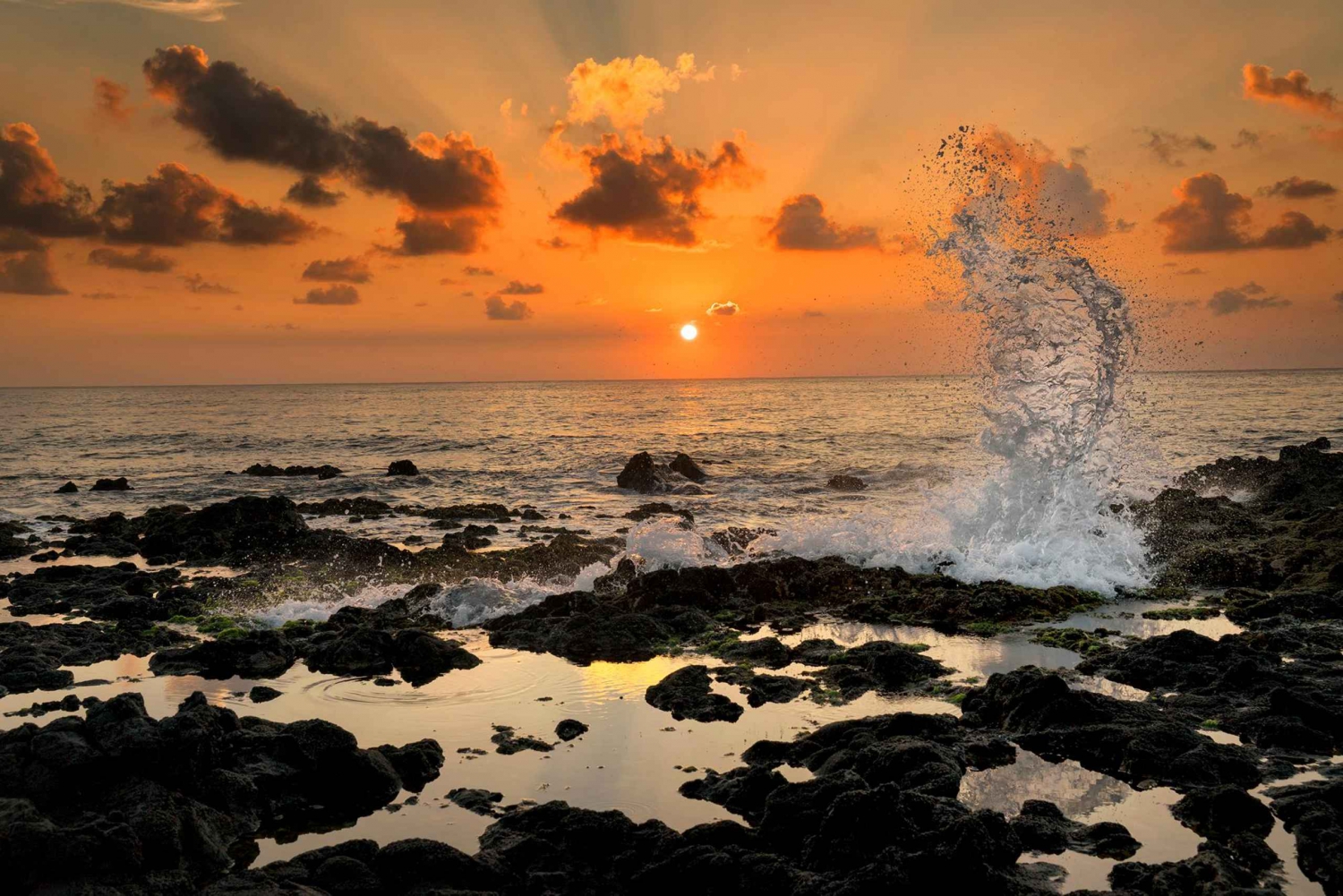 Ab Waikiki: Halbtägige Foto-Tour auf Oahu bei Sonnenaufgang