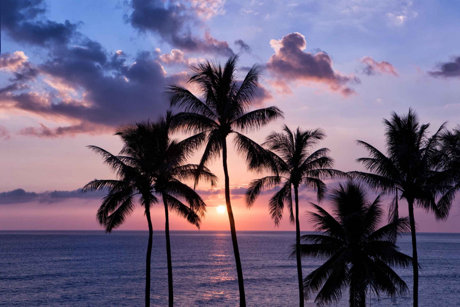 Oahu: Puolipäiväinen auringonlaskun valokuvakierros Waikikista käsin
