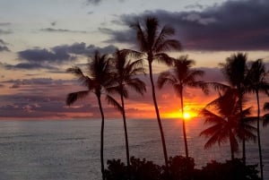 Oahu: Halvdags solnedgangsfototur fra Waikiki