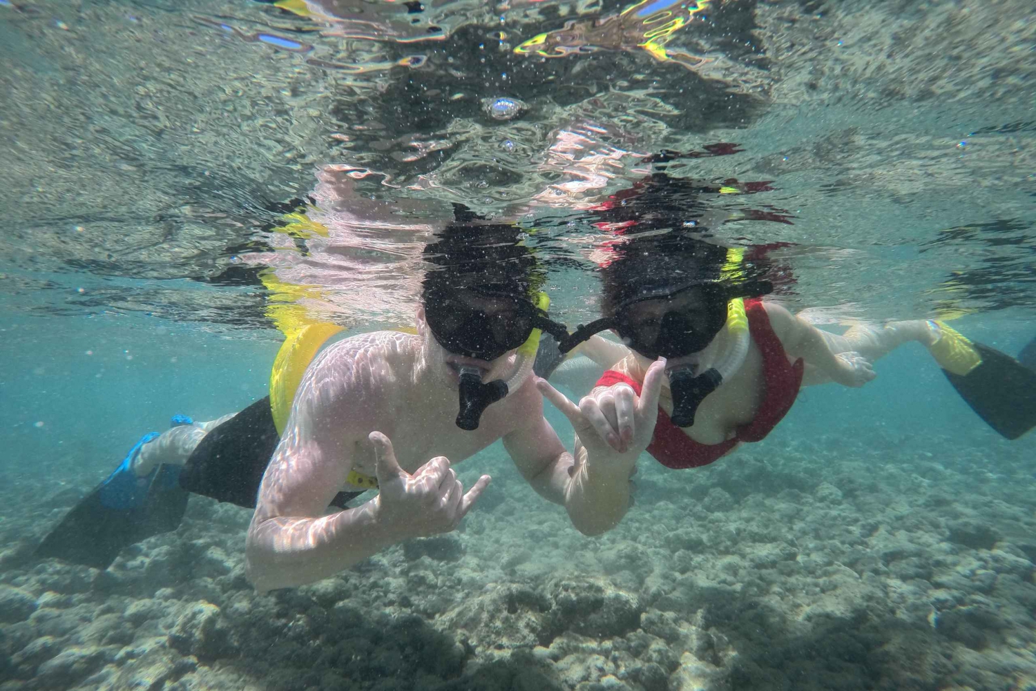 Oahu: Hanauma Bay Guided Snorkel Tour