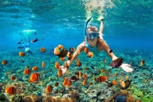 Oahu: Gran recorrido por la isla de Hawái