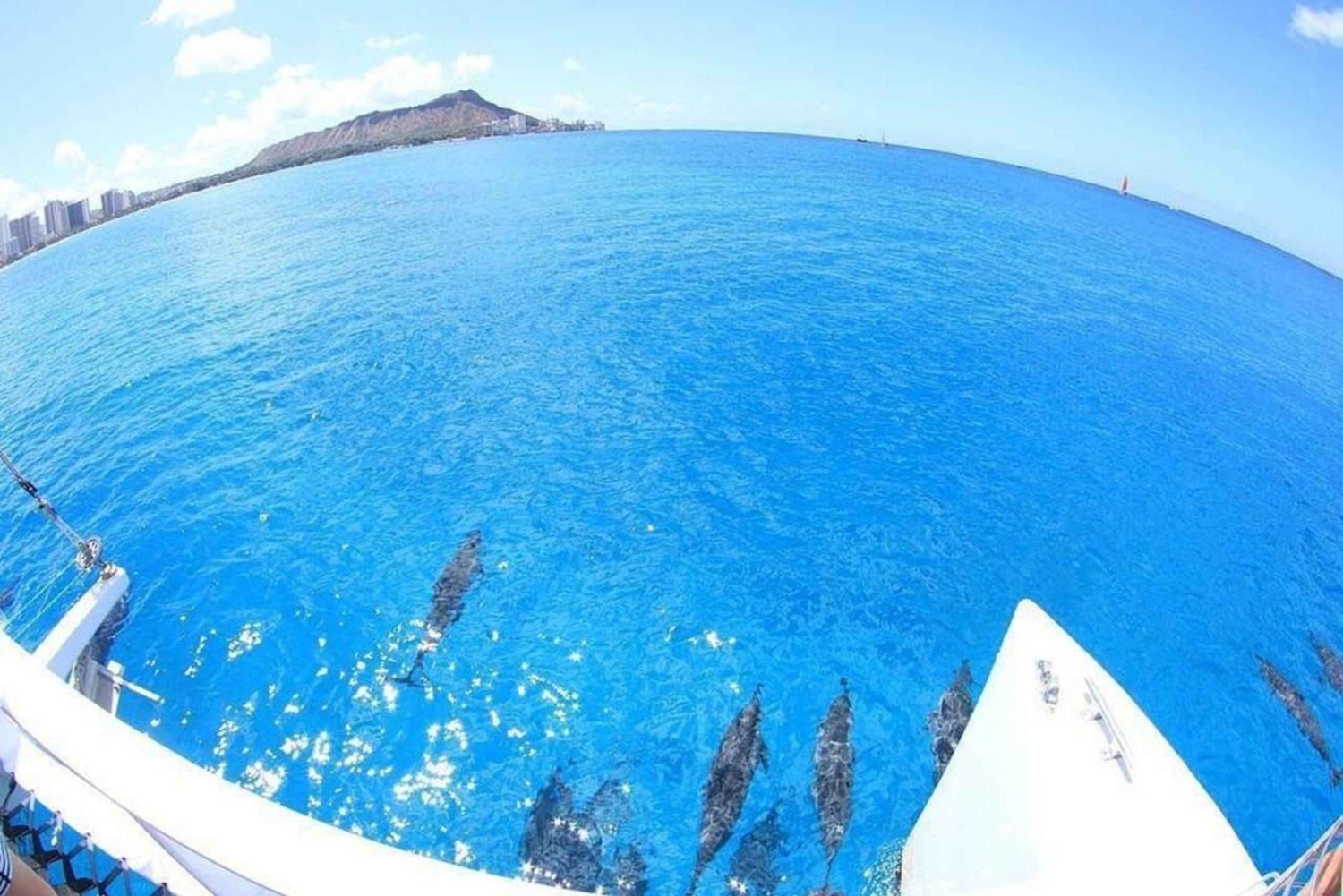 Oahu Havaiji: Honolulu Sailing Tour