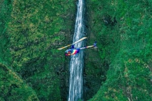 Oahu: Helikopterikierros ovet päällä tai pois päältä