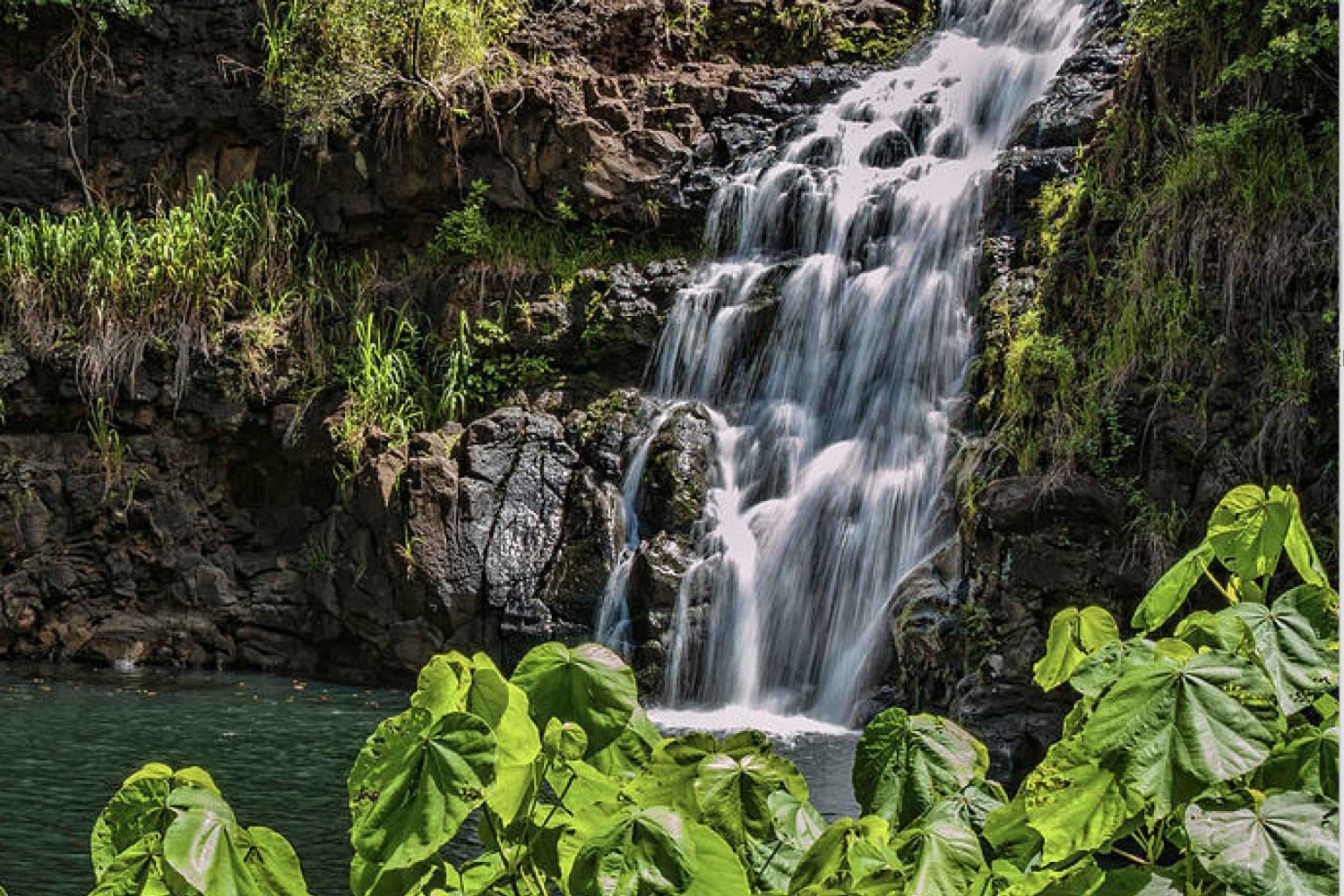 Oahu Hidden Gems & Waimea Botanical Garden / Waterfall-tour