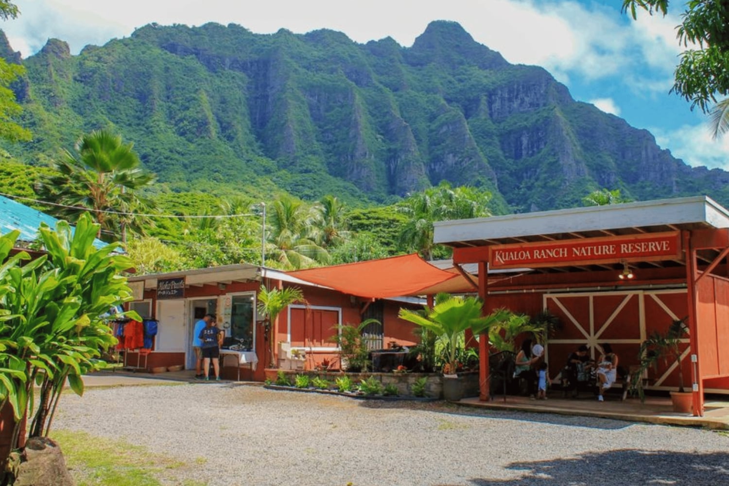 Oahu Hidden Gems & Waimea Botanical Garden / Waterfall-tour