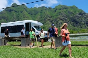 Excursión a las Joyas Ocultas de Oahu y al Jardín Botánico/Cascada de Waimea