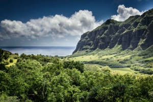 Oahu Hidden Gems & Waimea Kasvitieteellinen puutarha/vesiputous kierros