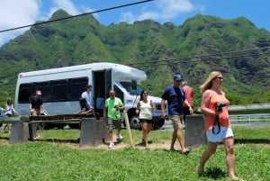 Oahu Hidden Gems & Waimea Botanical Garden / Waterfall-tour