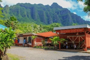 Oahu Hidden Gems & Waimea Botanical Garden / Waterfall-tour