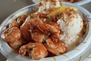 Oahu Hidden Gems & Waimea Botanical Garden / Waterfall-tour