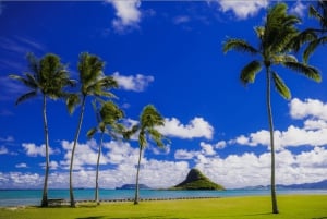 Oahu Hidden Gems & Waimea Botanical Garden / Waterfall-tour