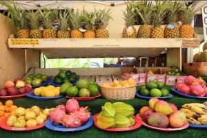 Oahu Hidden Gems & Waimea Botanical Garden / Waterfall-tour