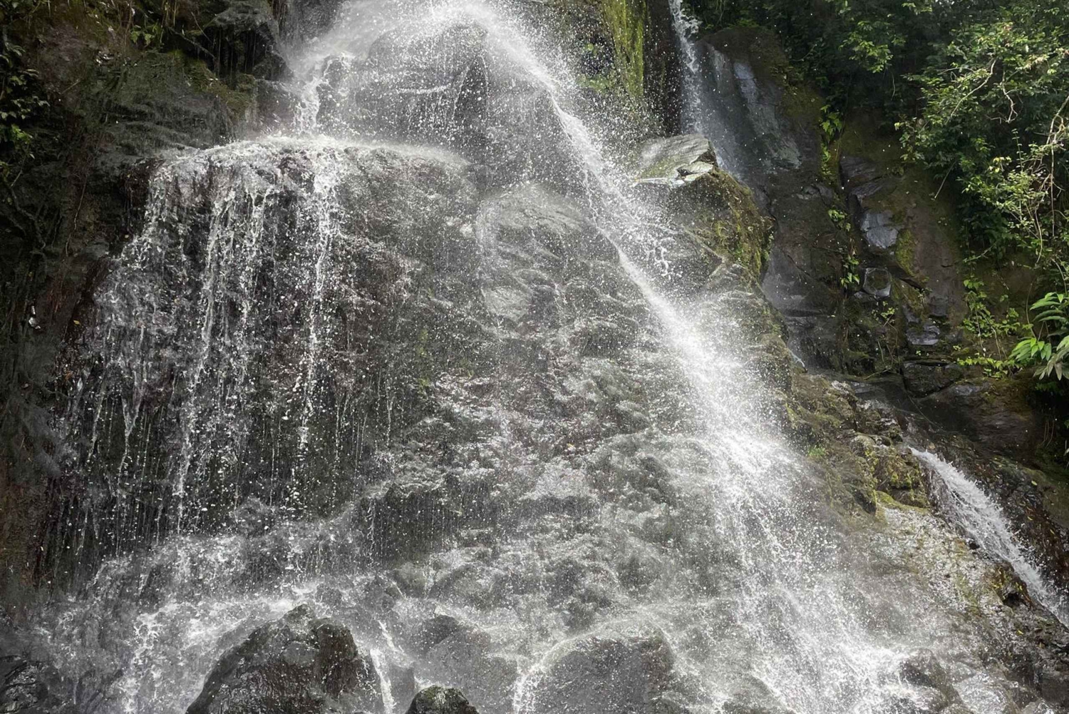 オアフ島：ハワイの滝ハイキング＆ビーチツアー