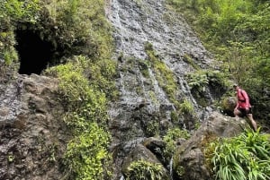 Oahu: Tour delle cascate e delle spiagge nascoste delle Hawaii