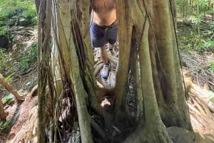 Oahu: Tour delle cascate e delle spiagge nascoste delle Hawaii