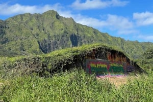 Oahu: Tour delle cascate e delle spiagge nascoste delle Hawaii