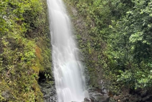 オアフ島：ハワイの滝ハイキング＆ビーチツアー