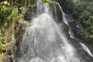 オアフ島：ハワイの滝ハイキング＆ビーチツアー