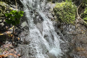 オアフ島：ハワイの滝ハイキング＆ビーチツアー
