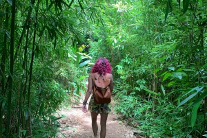 オアフ島：ハワイの滝ハイキング＆ビーチツアー