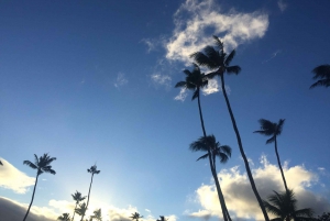 Oahu: Highlights of Oahu Small Group Tour