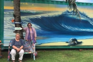 Oahu: Høydepunkter på Oahu Small Group Tour