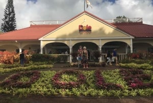 Oahu: Höjdpunkterna i Oahu i en liten gruppresa