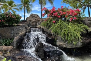 Oahu: Lo mejor de Oahu Tour en grupo reducido