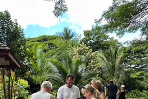 Oahu: Lo mejor de Oahu Tour en grupo reducido