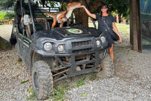 Oahu: Lo mejor de Oahu Tour en grupo reducido