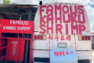 Oahu: Lo mejor de Oahu Tour en grupo reducido