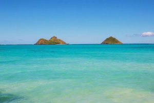 Oahu: Lo mejor de Oahu Tour en grupo reducido