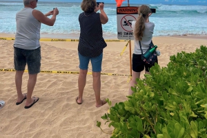 Oahu: Lo mejor de Oahu Tour en grupo reducido